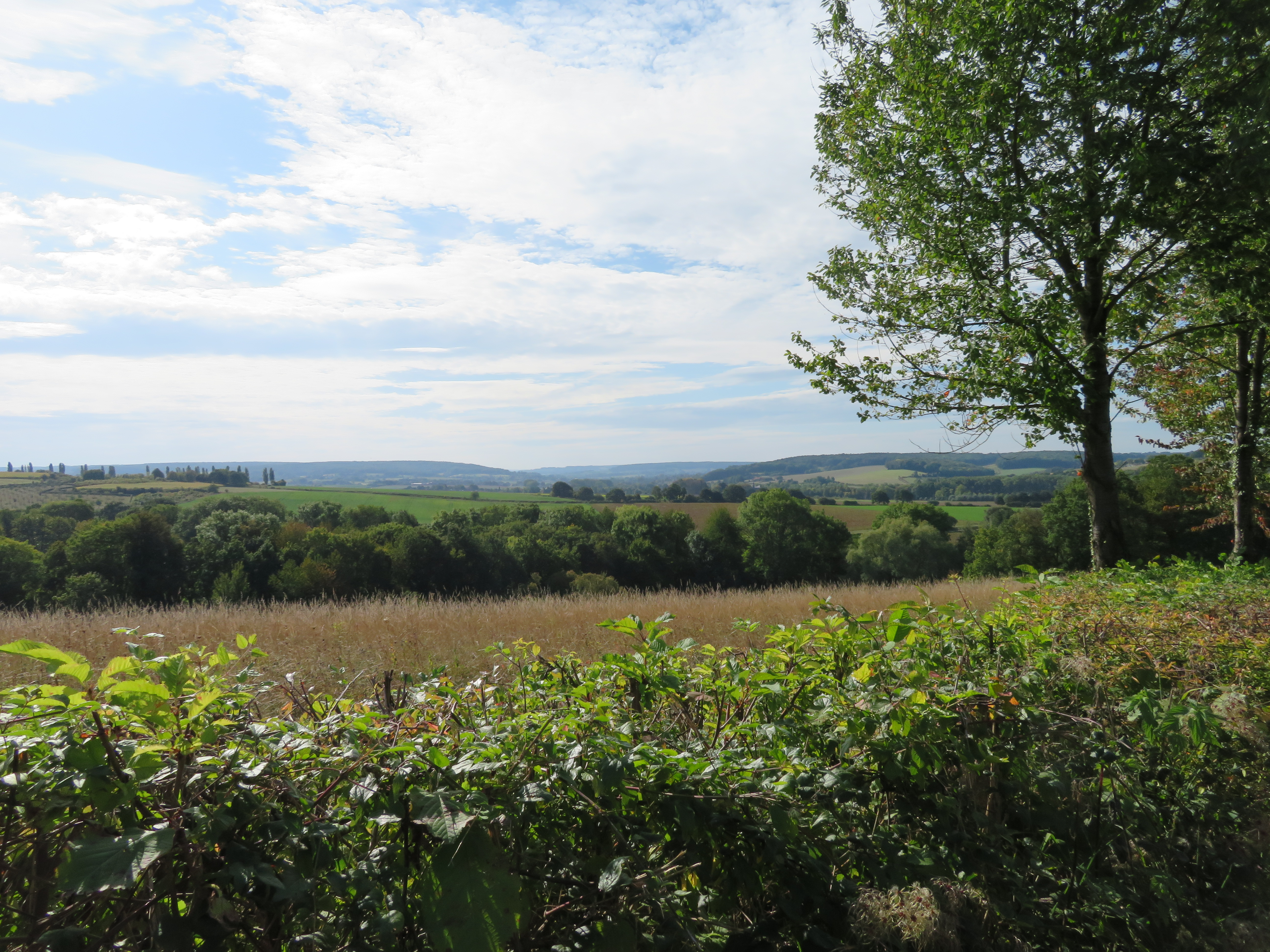 Home