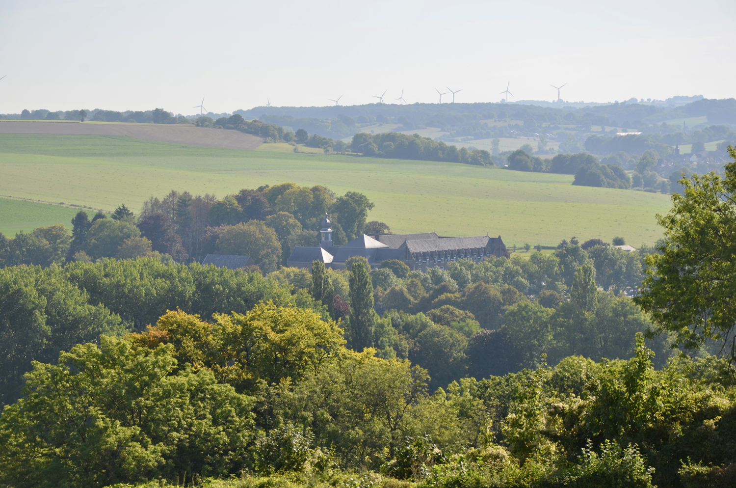 limburgs-landschap Limburgs landschap